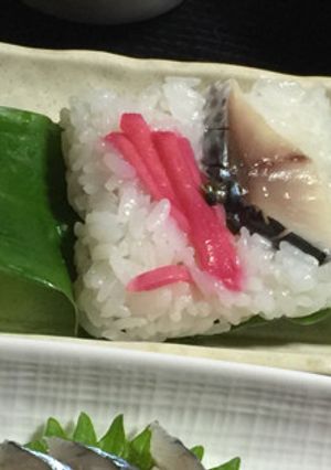 酢さばをみょうがの葉寿司-レシピのメイン写真