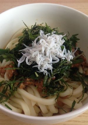 簡単まんぞく♪冷やしうどん-レシピのメイン写真