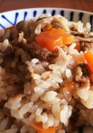 しっかり味付け♪舞茸ゴハン-レシピのメイン写真
