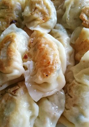 ★節約&ヘルシー★お弁当にも!豆腐餃子-レシピのメイン写真