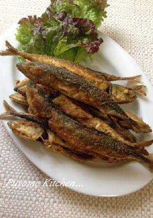 【釣食】サバのカレー揚げ-レシピのメイン写真