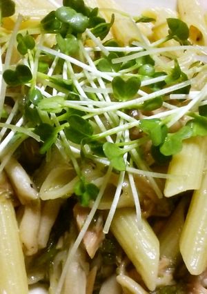 ツナとなめたけのショートパスタ-レシピのメイン写真