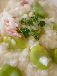 そら豆のリゾット-レシピのメイン写真