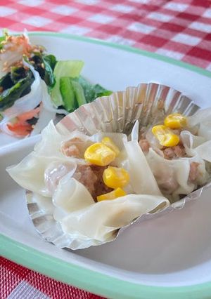 カンタン手作りシューマイ(宝達志水町)-レシピのメイン写真