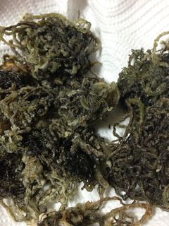 簡単!サクサクもずくの天ぷら-レシピのメイン写真