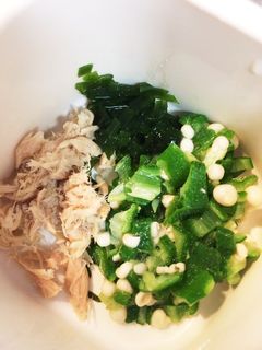 離乳食☆シーチキンのネバネバサラダ-レシピのメイン写真