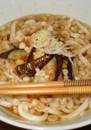揚げナスうどん☆-レシピのメイン写真