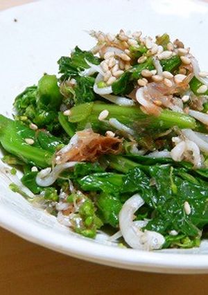 ポン酢で菜の花としらすのおかか和え-レシピのメイン写真