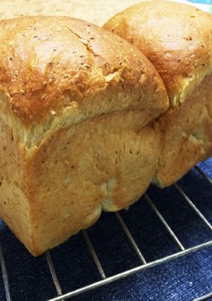 ヌカ塩パンの生地で食パン-レシピのメイン写真