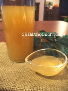 万能調味料 昆布と鰹節と梅干しの煎り酒-レシピのメイン写真