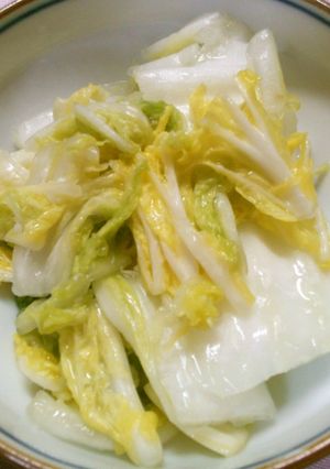 混ぜるだけ♪塩麹で簡単！ 白菜の浅漬け-レシピのメイン写真