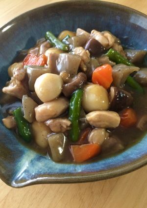鶏肉とコンニャク野菜のとろりん煮♫-レシピのメイン写真