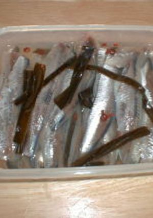 鰯の酢じめ-レシピのメイン写真