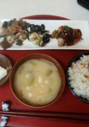 血管プラークダイエット食327（粕汁）-レシピのメイン写真