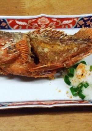 カサゴの唐揚げ-レシピのメイン写真