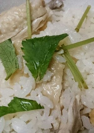 ホロうまっ！☆柔らか手羽中塩炊き込みご飯-レシピのメイン写真