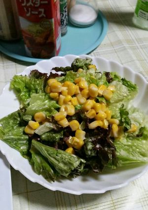 もりもり食べれるコーンサラダ-レシピのメイン写真