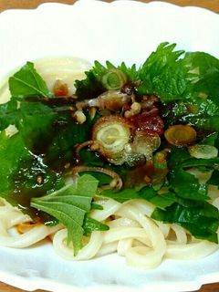 超簡単❗ピリ辛たれの冷やしうどん-レシピのメイン写真