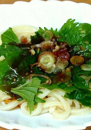 超簡単❗ピリ辛たれの冷やしうどん-レシピのメイン写真