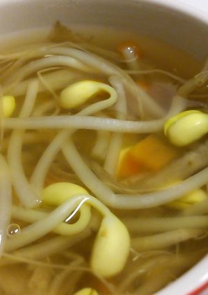 豆もやし＆ごぼうのスープ。-レシピのメイン写真