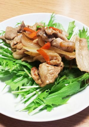 豚こま肉野菜炒め-レシピのメイン写真