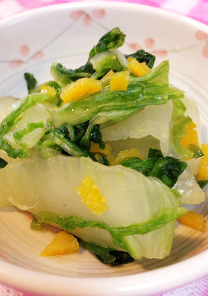 甘夏の皮で白菜の浅漬け-レシピのメイン写真