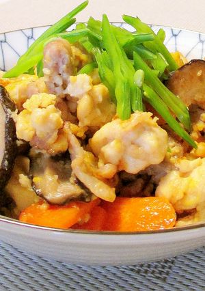 我が家の☆豚肉入り炒り豆腐☆-レシピのメイン写真