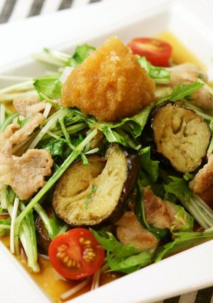 簡単料理☆豚と揚げ茄子のハリハリぽん酢焼-レシピのメイン写真