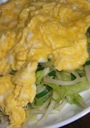 野菜炒めオムレツのせ☆塩コショウで旨い！-レシピのメイン写真
