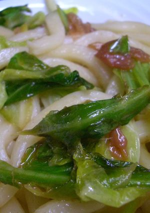 ♪梅キャベツ焼きうどん♪-レシピのメイン写真