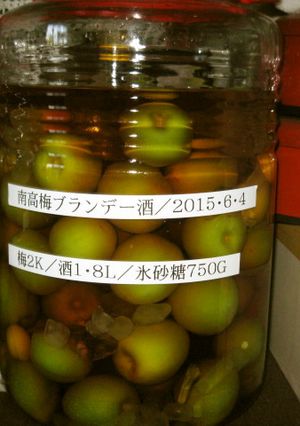 南高梅のブランデー梅酒-レシピのメイン写真