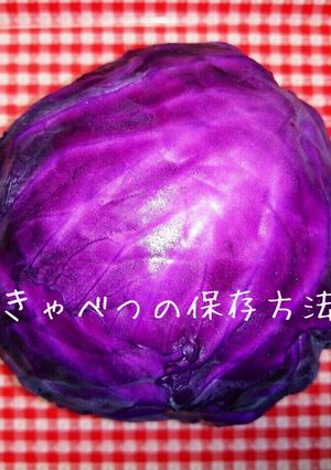 きゃべつの保存方法♡驚くほど長持ち♪裏技-レシピのメイン写真