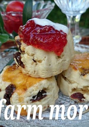 バター砂糖を使わない・ジェシカとスコーン♪-レシピのメイン写真