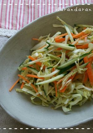 千切り野菜のジューッ♪-レシピのメイン写真