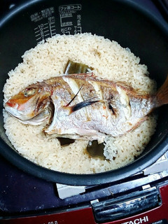 鯛めし-レシピのメイン写真