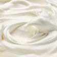 ココナッツミルクのホイップクリーム
