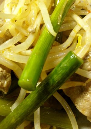 豚肉とにんにくの芽のピリ辛炒め✾-レシピのメイン写真