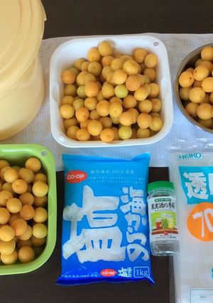 減塩 小梅の梅干し 七折小梅 ①塩漬け編-レシピのメイン写真