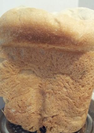 HBでカルピスソフトレーズンパン-レシピのメイン写真