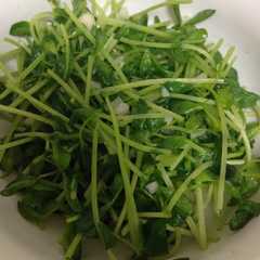 豆苗炒め-レシピのメイン写真