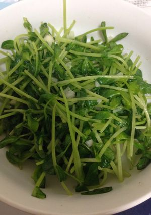 豆苗炒め-レシピのメイン写真