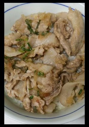 簡単☆豚の梅しそおろし丼-レシピのメイン写真