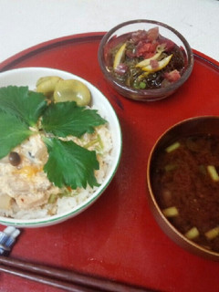 血管プラークダイエット食335(親子丼)-レシピのメイン写真