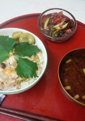 血管プラークダイエット食335（親子丼）-レシピのメイン写真