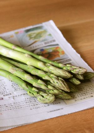 アスパラの保存法-レシピのメイン写真