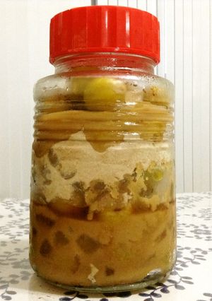 完熟になりかけの梅で梅ジュース（≧∇≦）-レシピのメイン写真