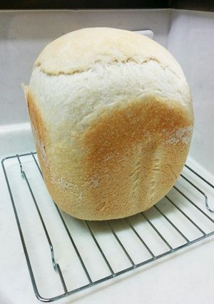 自家製レーズン酵母のHB使用食パン-レシピのメイン写真