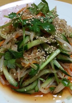 もやしの中華和え香菜(パクチー)添え-レシピのメイン写真