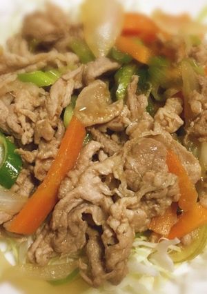 夏こそ豚肉☆豚肉とねぎの和風炒め♪-レシピのメイン写真