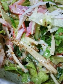 さわやか~な新生姜のサラダ-レシピのメイン写真